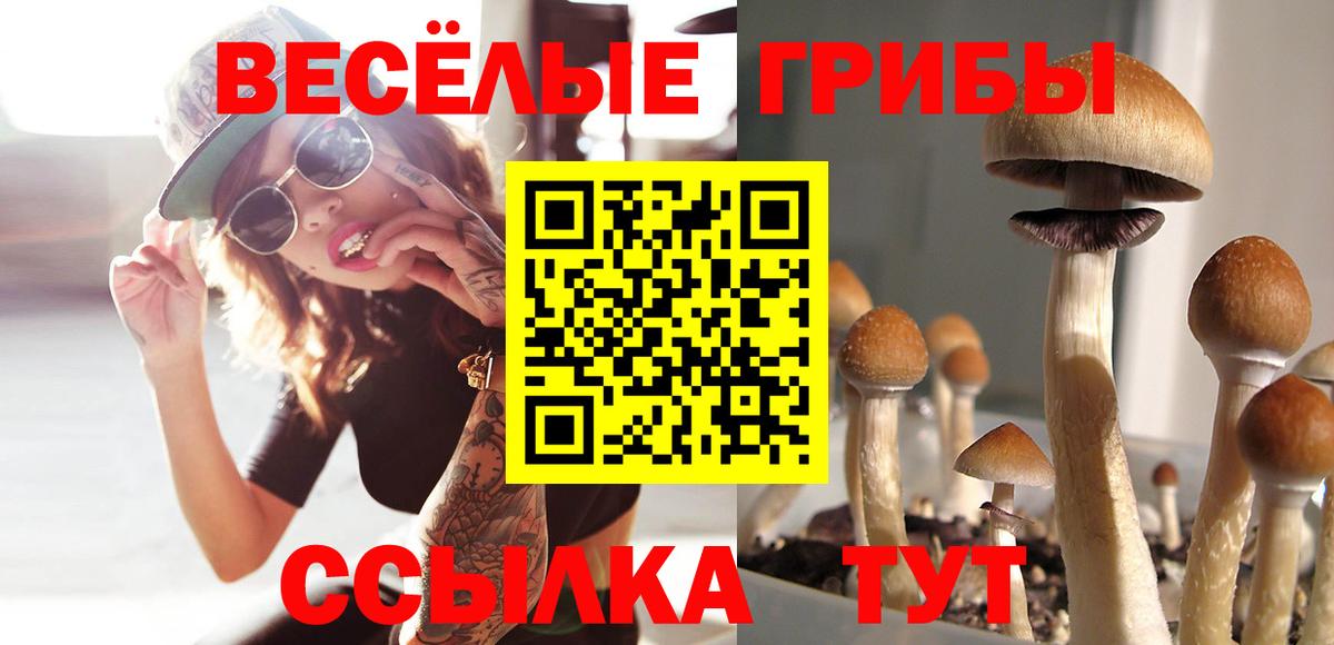 Пенза  Псилоцибиновые грибы прущие грибы  Вход с VPN 