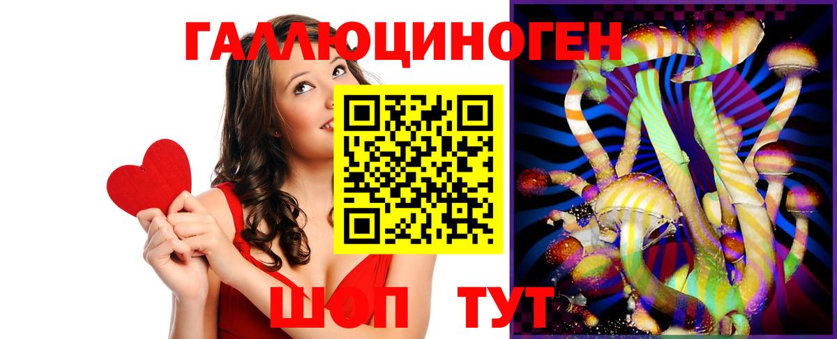 Псилоцибиновые грибы Psilocybine cubensis Пенза